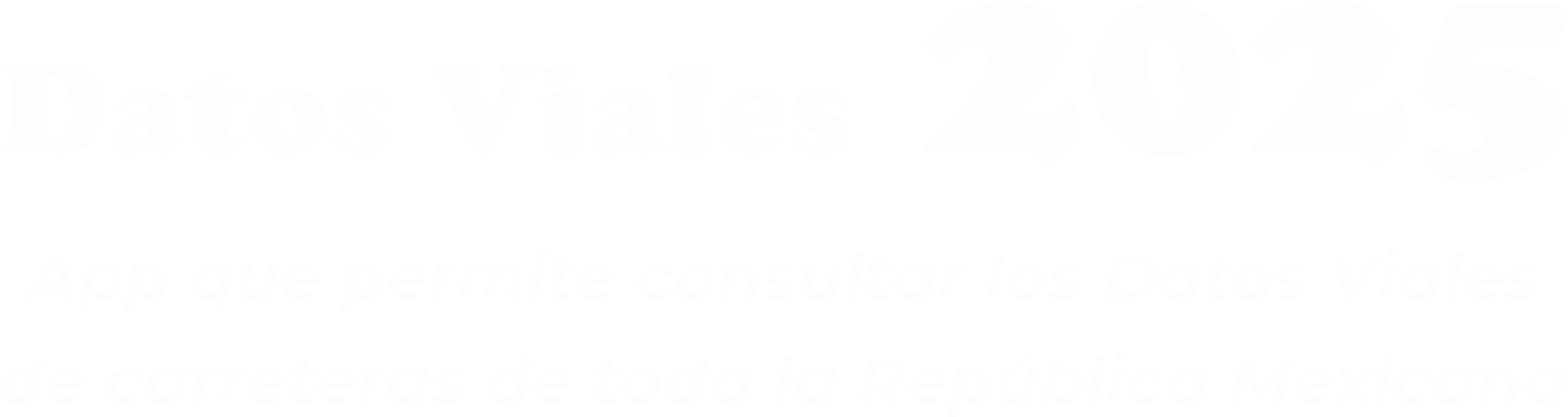Datos Viales 2025